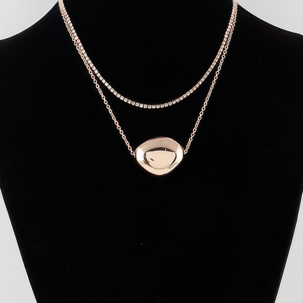 Double Shiny Plate Necklace